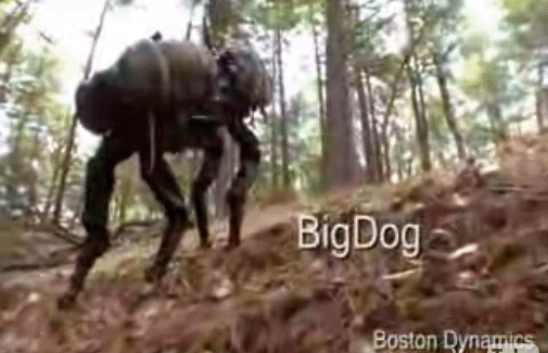 big_dog_bois