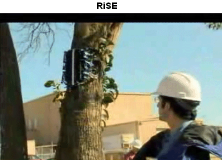 robot_grimpe_arbres