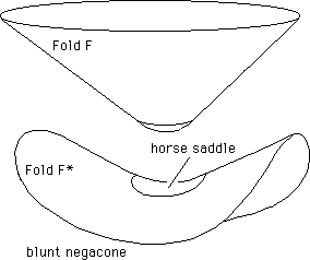 Fig.21b : Blunt posicone with conjugated 